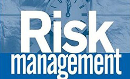 This image shows the blue front book cover of Risk Management for Pensions, Endowments, and Foundations by business writer Susan Mangiero.
