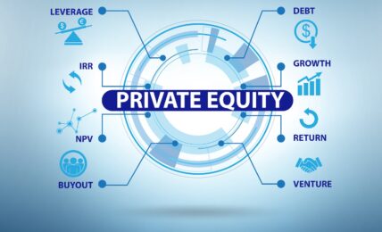 Private equity investment as a business concept
